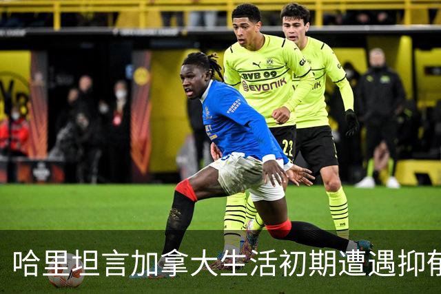 哈里坦言加拿大生活初期遭遇抑郁：离开压力后无所适从